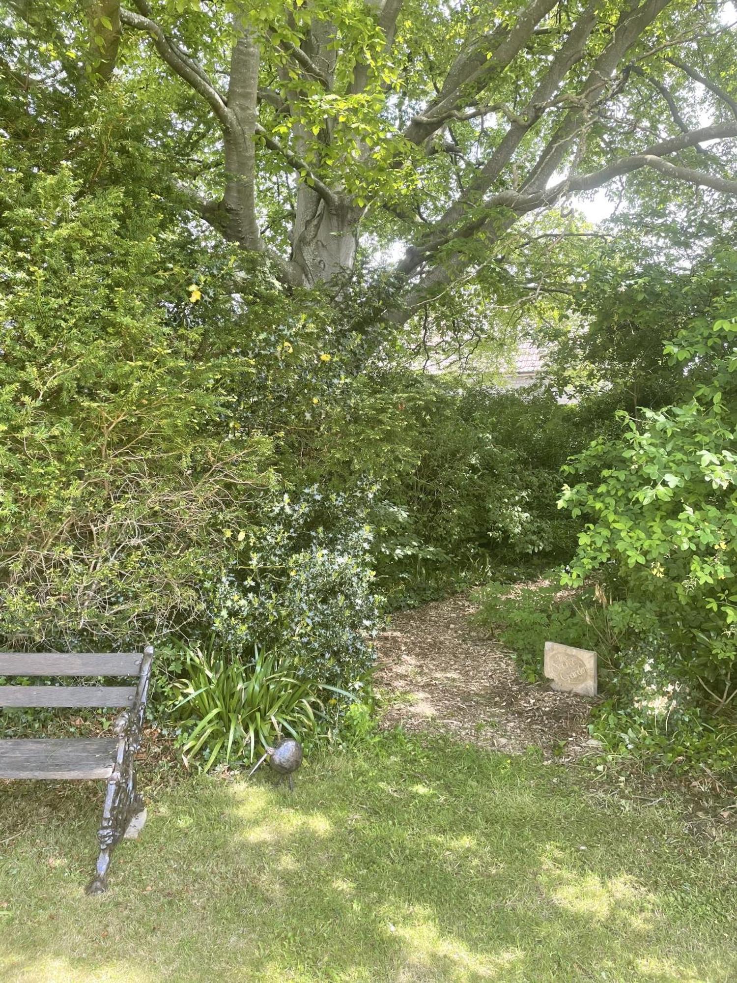 The Mount Somerton Retreat - Nr Bruton, Glastonbury, The Spectacular Wells Cathedral, Millfield School, Leonardo Helicopters, Yeovilton 外观 照片