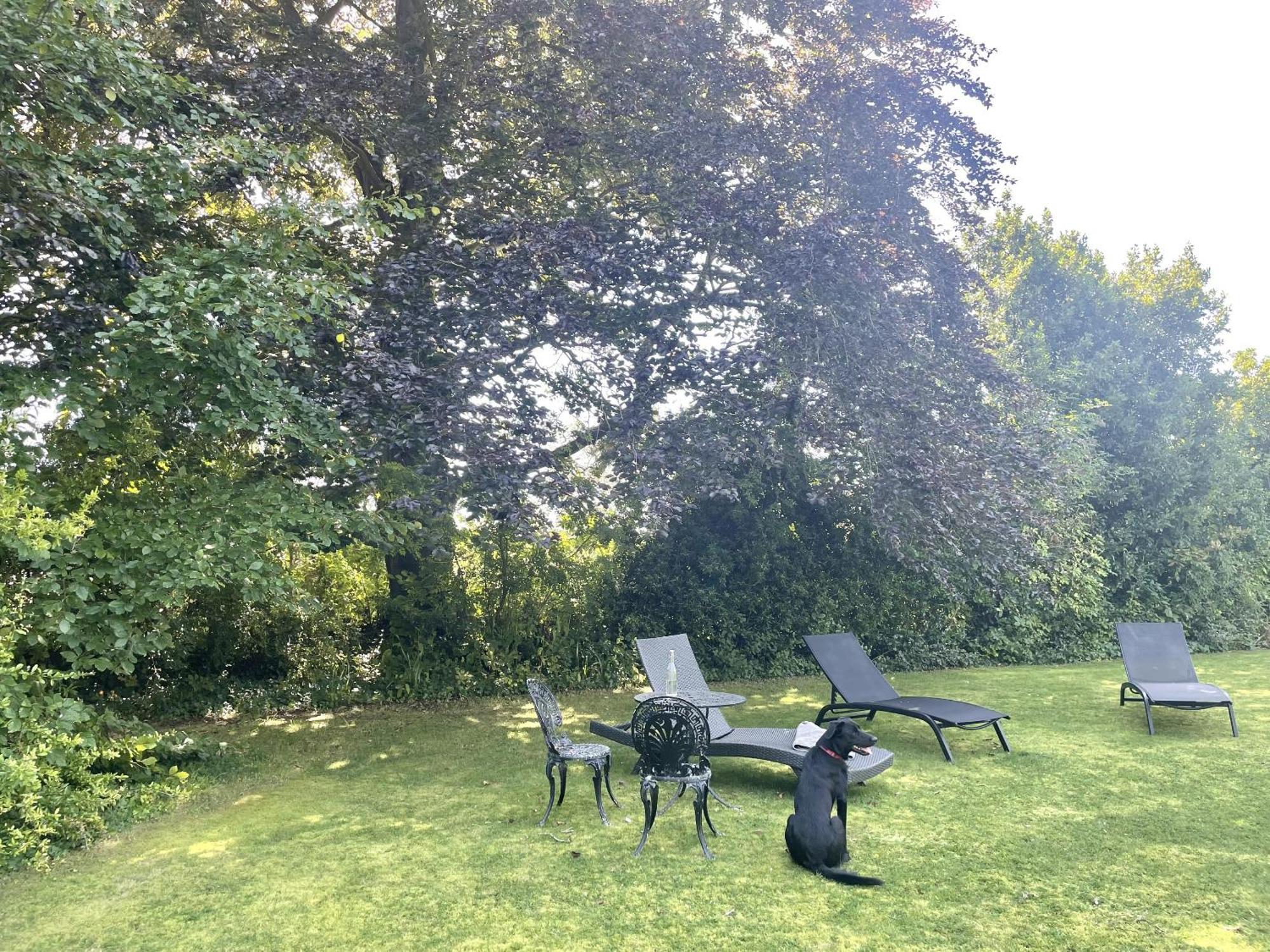 The Mount Somerton Retreat - Nr Bruton, Glastonbury, The Spectacular Wells Cathedral, Millfield School, Leonardo Helicopters, Yeovilton 外观 照片